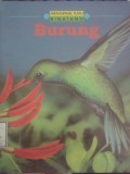 Burung