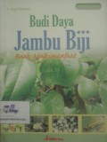 Budi Daya Jambu Biji: Buah Multimanfaat