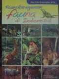 Keanekaragaman Fauna di Indonesia