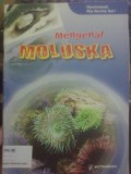 Mengenal Moluska