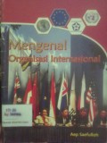 Mengenal Organisasi Internasional