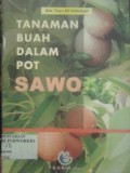 Tanaman Buah dalam Pot: Sawo