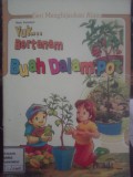 Yuk... Bertanam Buah dalam Pot